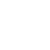 gv-icon-1